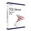 Microsoft SQL SERVER 2022 STANDARD  4  CORE 32/64 BIT KEY ESD